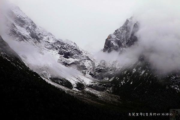 今年的热门报考专业有哪些？热门专业就业前景如何？游戏画面