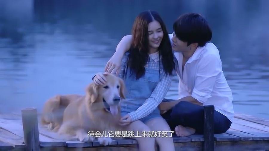 五彩猫碰碰碰